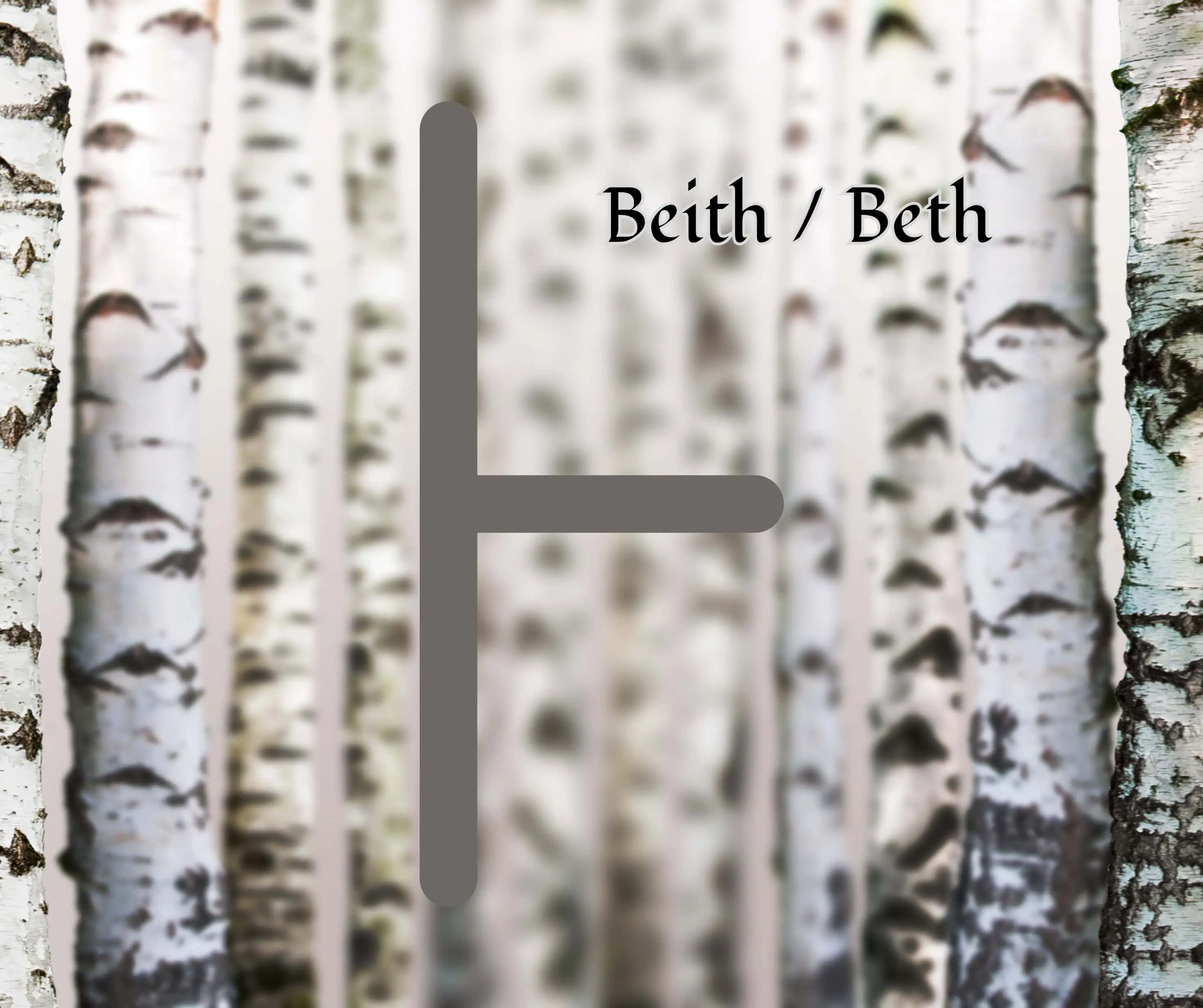 Beith (Birch)