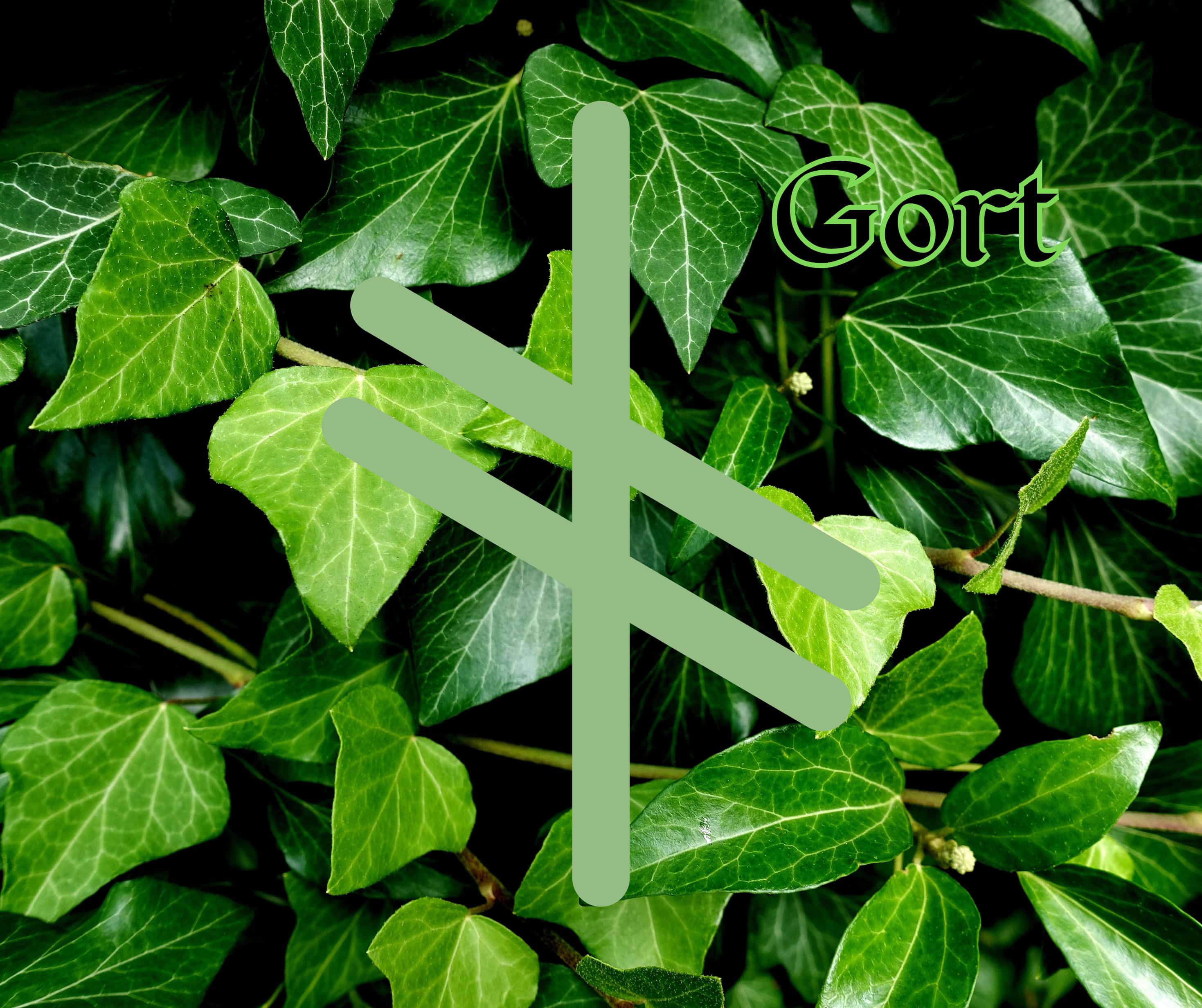 Gort (Ivy)