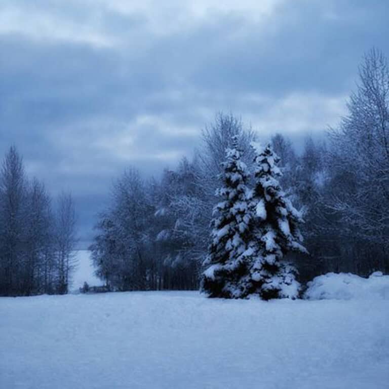 The 8th Day of Yule – Embracing the Winter’s Heart